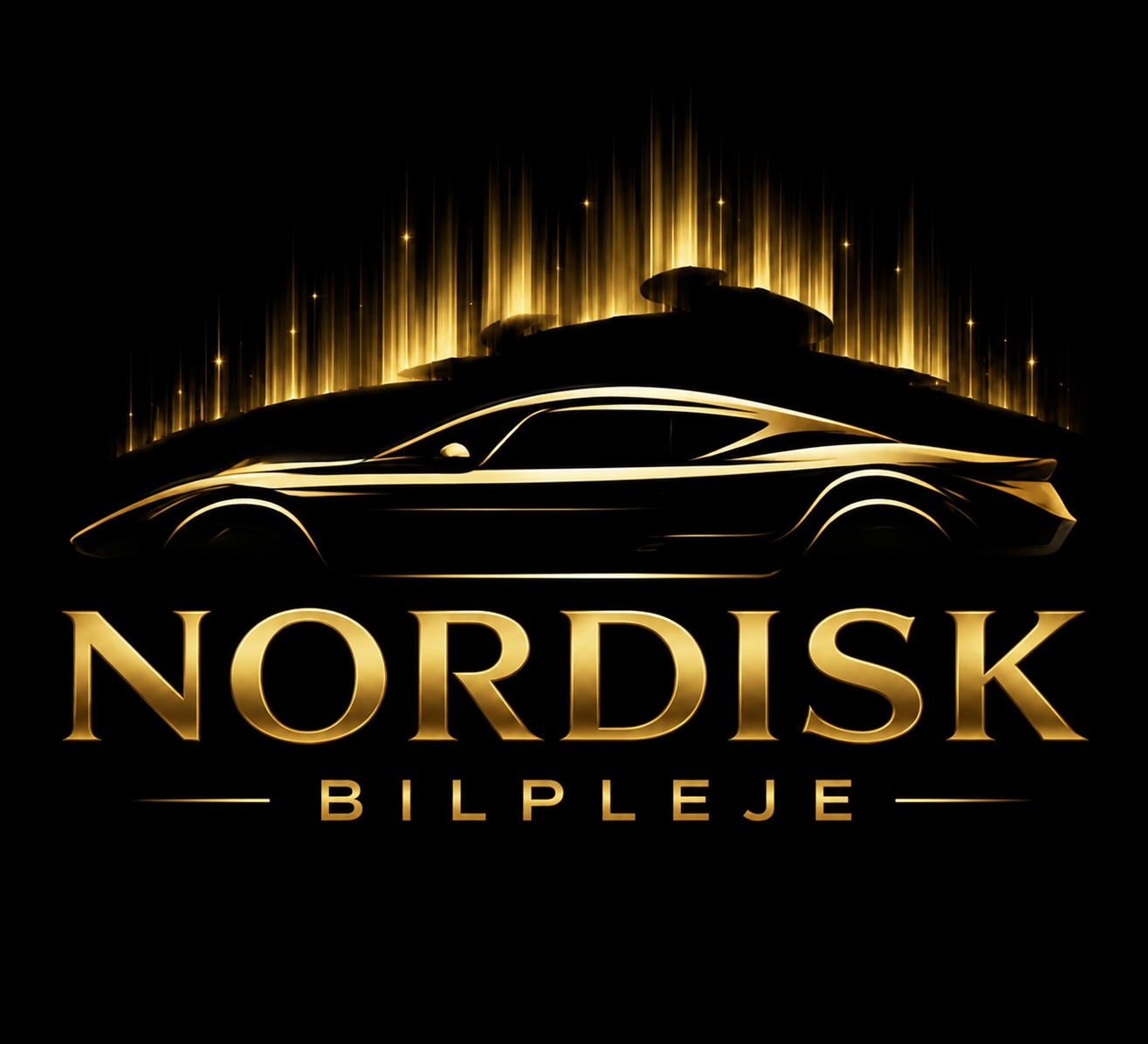 Nordisk bilpleje
